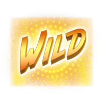 - รูปสัญลักษณ์ WILD ของเกม Hip Hop Panda