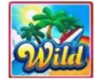 - รูปสัญลักษณ์ WILD ของ Miami