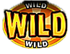 - สัญลักษณ์ WILD