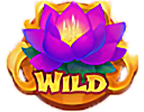 - รูปสัญลักษณ์ WILD เกม VALLEY OF DREAMS