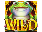 สัญลักษณ์ WILD สล็อต Wild Hop and Drop