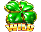 สัญลักษณ์ WILD สล็อต Fire Hot 5