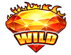 สัญลักษณ์ WILD สล็อต Shining Hot 40