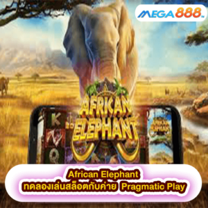 African Elephant ทดลองเล่นสล็อตกับค่าย Pragmatic Play