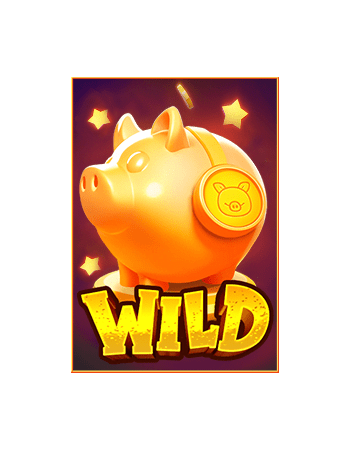 สัญลักษณ์ WILD